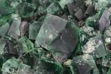 Fluorite Crystal Cluster - Rogerley Mine, UK #99457-1